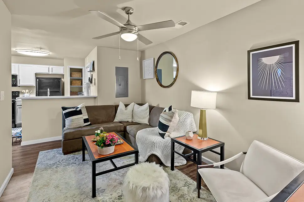 Furnished apartment living space